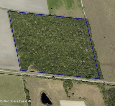 Discover 10 acres of privacy and possibility in the peaceful - photo 1