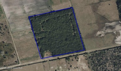 Discover 10 acres of privacy and possibility in the peaceful - photo 2