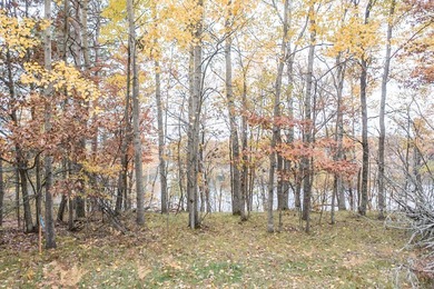 Build your dream lake home on one of the last undeveloped large - photo 8