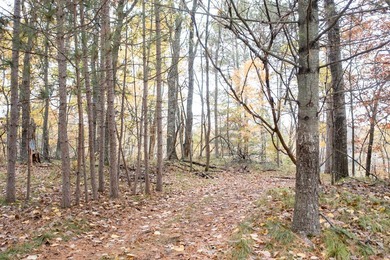 Build your dream lake home on one of the last undeveloped large - photo 9