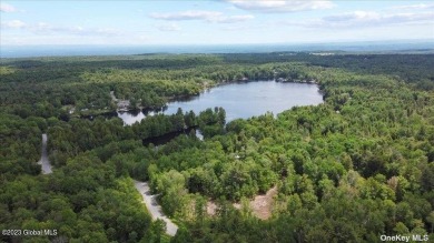 Lake Nancy Acreage For Sale in Other New York