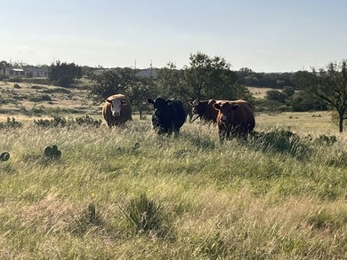 PRICE DROP Corona Falls Ranch | Voca, TX | 320 Acres | $4,800 - photo 11
