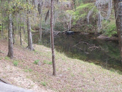 MAGNOLIA BLUFFS SUBDIVISION, LAKE EUFAULA. Located in Quitman - photo 11