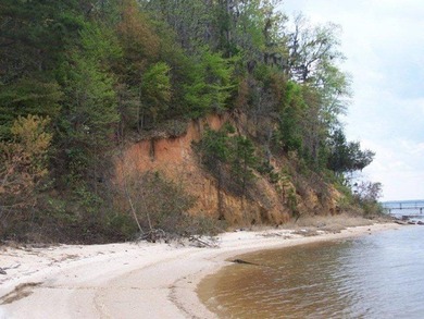 MAGNOLIA BLUFFS SUBDIVISION, LAKE EUFAULA. Located in Quitman - photo 12