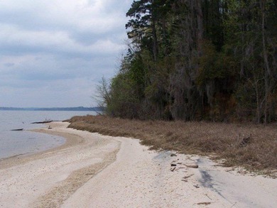MAGNOLIA BLUFFS SUBDIVISION, LAKE EUFAULA. Located in Quitman - photo 13