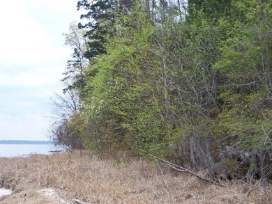 MAGNOLIA BLUFFS SUBDIVISION, LAKE EUFAULA. Located in Quitman - photo 14