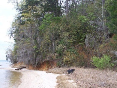 MAGNOLIA BLUFFS SUBDIVISION, LAKE EUFAULA. Located in Quitman - photo 15