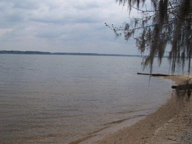 MAGNOLIA BLUFFS SUBDIVISION, LAKE EUFAULA. Located in Quitman - photo 16
