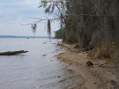 MAGNOLIA BLUFFS SUBDIVISION, LAKE EUFAULA. Located in Quitman - photo 17