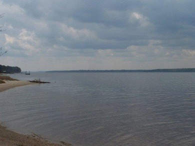 MAGNOLIA BLUFFS SUBDIVISION, LAKE EUFAULA. Located in Quitman - photo 18