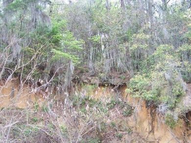 MAGNOLIA BLUFFS SUBDIVISION, LAKE EUFAULA. Located in Quitman - photo 19