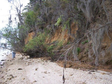 MAGNOLIA BLUFFS SUBDIVISION, LAKE EUFAULA. Located in Quitman - photo 20