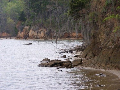 MAGNOLIA BLUFFS SUBDIVISION, LAKE EUFAULA. Located in Quitman - photo 21