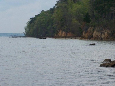 MAGNOLIA BLUFFS SUBDIVISION, LAKE EUFAULA. Located in Quitman - photo 22