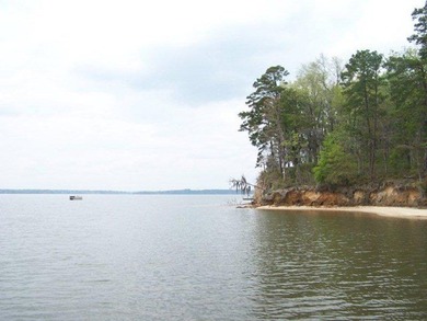 MAGNOLIA BLUFFS SUBDIVISION, LAKE EUFAULA. Located in Quitman - photo 25
