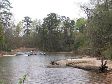 MAGNOLIA BLUFFS SUBDIVISION, LAKE EUFAULA. Located in Quitman - photo 26