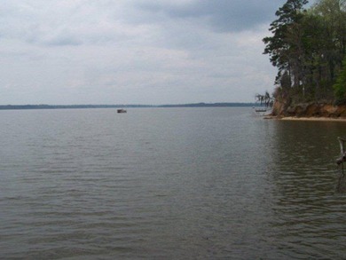 MAGNOLIA BLUFFS SUBDIVISION, LAKE EUFAULA. Located in Quitman - photo 27
