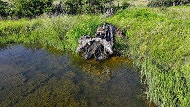 PRICE DROP Corona Falls Ranch | Voca, TX | 320 Acres | $4,800 - photo 28