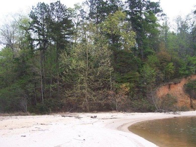 MAGNOLIA BLUFFS SUBDIVISION, LAKE EUFAULA. Located in Quitman - photo 30