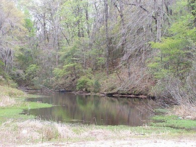 MAGNOLIA BLUFFS SUBDIVISION, LAKE EUFAULA. Located in Quitman - photo 32