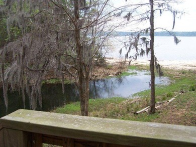 MAGNOLIA BLUFFS SUBDIVISION, LAKE EUFAULA. Located in Quitman - photo 33