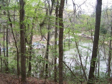 MAGNOLIA BLUFFS SUBDIVISION, LAKE EUFAULA. Located in Quitman - photo 34