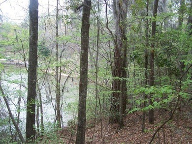 MAGNOLIA BLUFFS SUBDIVISION, LAKE EUFAULA. Located in Quitman - photo 35