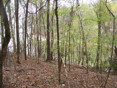 MAGNOLIA BLUFFS SUBDIVISION, LAKE EUFAULA. Located in Quitman - photo 36