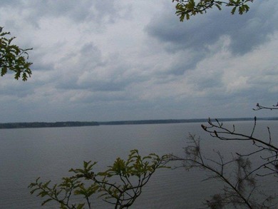 MAGNOLIA BLUFFS SUBDIVISION, LAKE EUFAULA. Located in Quitman - photo 37