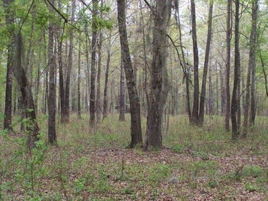 MAGNOLIA BLUFFS SUBDIVISION, LAKE EUFAULA. Located in Quitman - photo 38