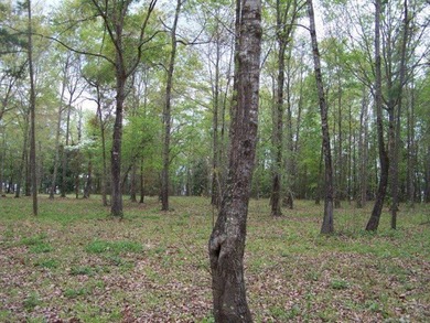 MAGNOLIA BLUFFS SUBDIVISION, LAKE EUFAULA. Located in Quitman - photo 39