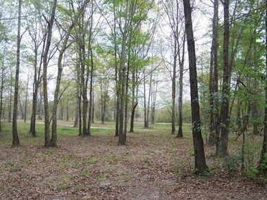 MAGNOLIA BLUFFS SUBDIVISION, LAKE EUFAULA. Located in Quitman - photo 40