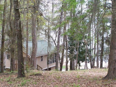 MAGNOLIA BLUFFS SUBDIVISION, LAKE EUFAULA. Located in Quitman - photo 41