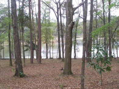 MAGNOLIA BLUFFS SUBDIVISION, LAKE EUFAULA. Located in Quitman - photo 42