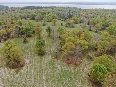 MAGNOLIA BLUFFS SUBDIVISION, LAKE EUFAULA. Located in Quitman - photo 44
