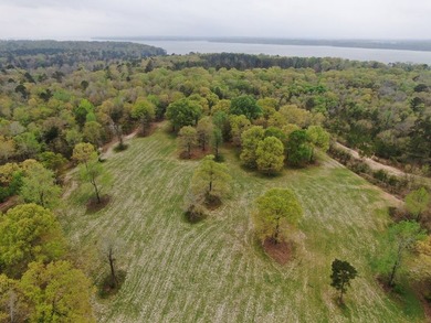 MAGNOLIA BLUFFS SUBDIVISION, LAKE EUFAULA. Located in Quitman - photo 46