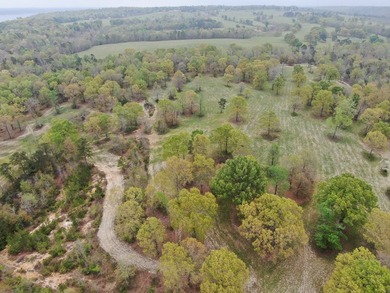 MAGNOLIA BLUFFS SUBDIVISION, LAKE EUFAULA. Located in Quitman - photo 47