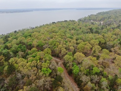 MAGNOLIA BLUFFS SUBDIVISION, LAKE EUFAULA. Located in Quitman - photo 48