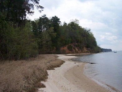 MAGNOLIA BLUFFS SUBDIVISION, LAKE EUFAULA. Located in Quitman - photo 49
