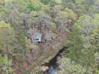 MAGNOLIA BLUFFS SUBDIVISION, LAKE EUFAULA. Located in Quitman - photo 50