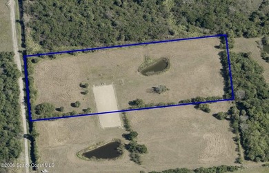 Discover 4.69 acres of peaceful Florida countryside with room to - photo 2