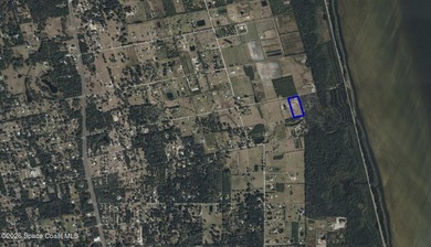 Discover 4.69 acres of peaceful Florida countryside with room to - photo 4