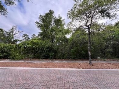 Discover the perfect opportunity to build your dream home in the - photo 5