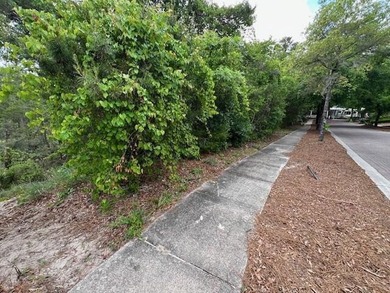 Discover the perfect opportunity to build your dream home in the - photo 6
