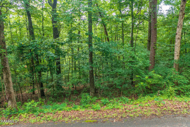 Lake Lot Off Market in Baneberry, Tennessee