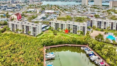 (private lake, pond, coastal) Condo Sale Pending in South Pasadena Florida