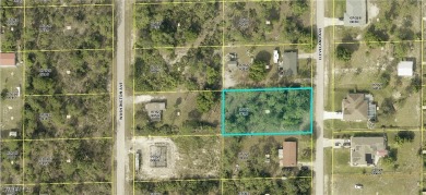 Lehigh Acres Area Lot For Sale in Lehigh Acres Florida