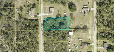 Lehigh Acres Area Lot For Sale in Lehigh Acres Florida