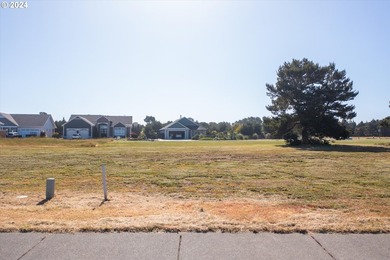 Dreaming of coastal living? This prime .15ac lot in Ocean Trails - photo 12