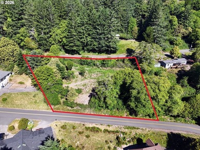 Property Highlights Views: Enjoy panoramic territorial and river - photo 4